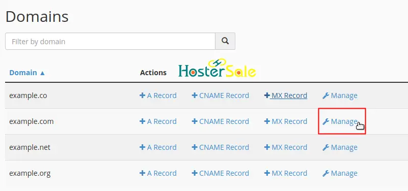 cpanel dns manage setting