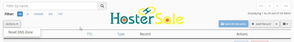 cpanel zone editor setup for reset dns records