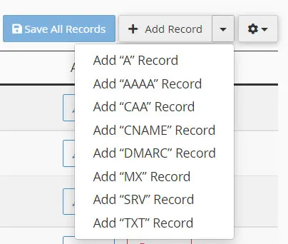select record in cpanel zone editor