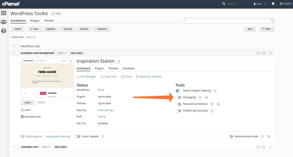 Mastering WordPress Debugging with WP Toolkit in cPanel, A Professional Guide